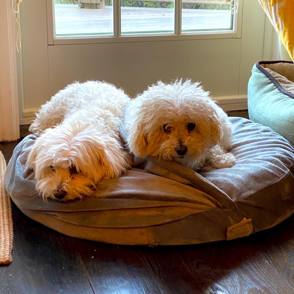 Meet your Posher, Lorraine